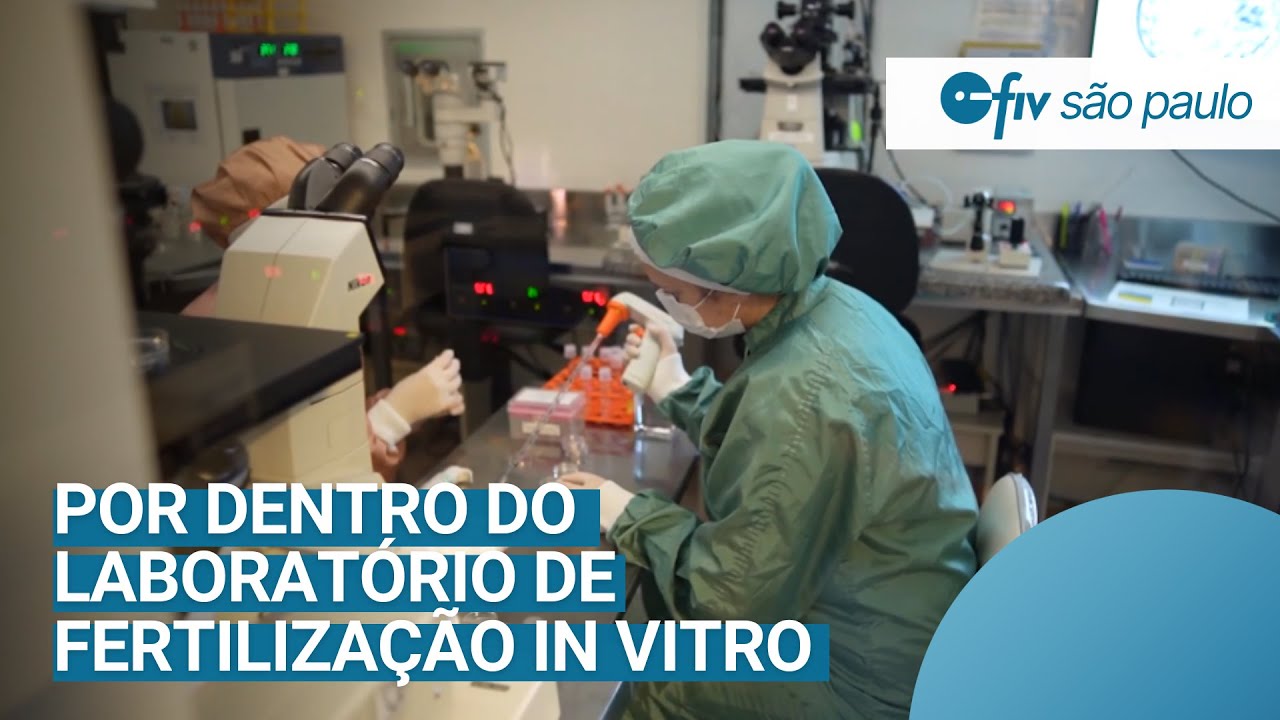 fertilização in vitro