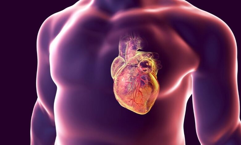 10 Cirurgiões Cardíacos em São Paulo Referência em Alta Complexidade