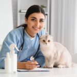 Toxoplasmose: Transmissão Felina, Riscos na Gravidez e Diagnóstico Sorológico